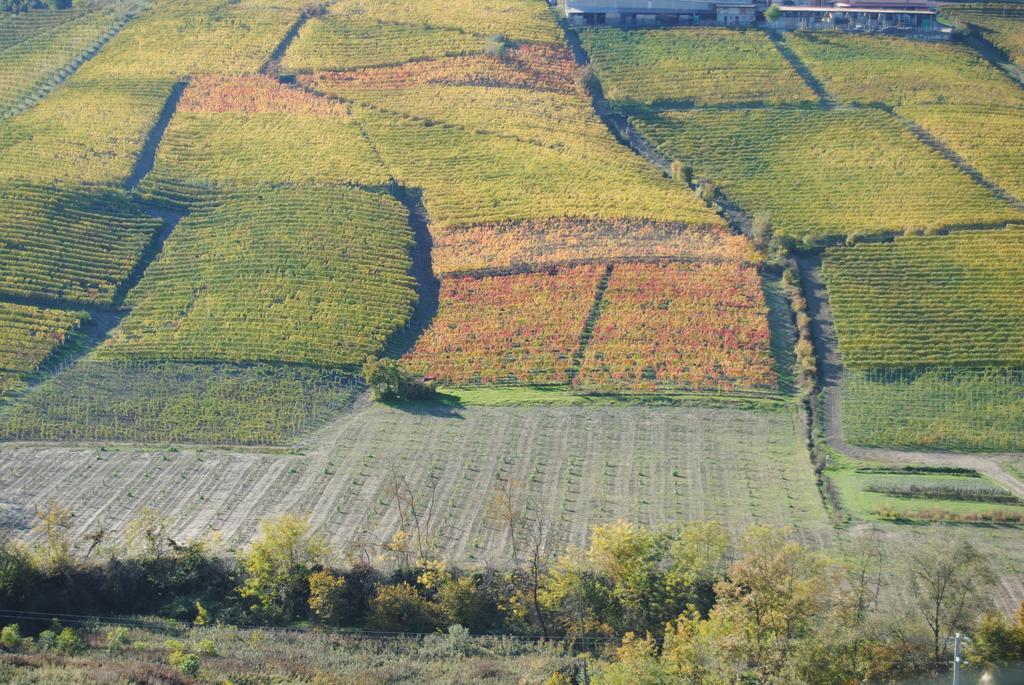 סרלונגה ד'אלבה Agriturismo I Grappoli מראה חיצוני תמונה