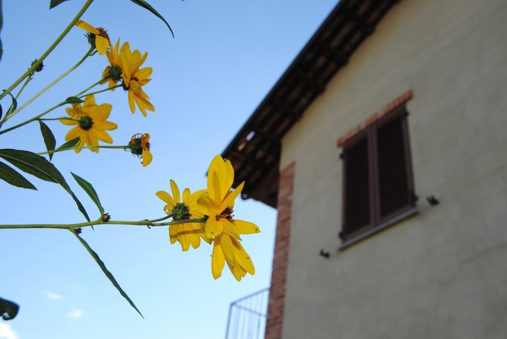 סרלונגה ד'אלבה Agriturismo I Grappoli מראה חיצוני תמונה